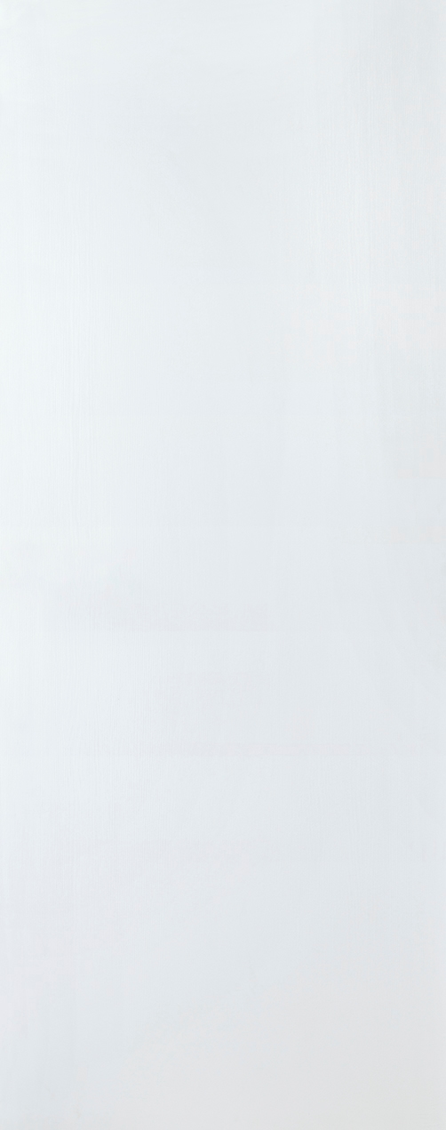 PALLADIO BIANCO NOBLE SLAB DOORS BELLDINNI MODERN INTERIOR DOOR - 1
