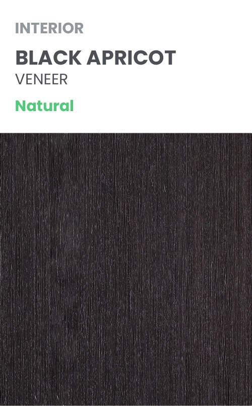 AVANTI 2V BLACK APRICOT DOUBLE BELLDINNI MODERN INTERIOR DOOR - 9