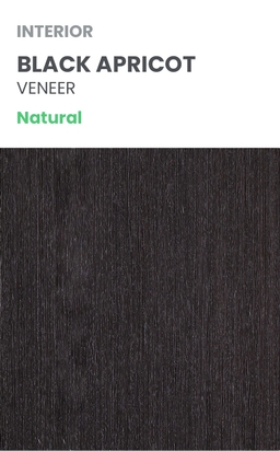 AVANTI 202 VETRO BLACK APRICOT BARN BELLDINNI MODERN INTERIOR DOOR - 7