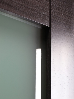 AVANTI 207 VETRO BLACK APRICOT SLAB BELLDINNI MODERN INTERIOR DOOR - 2